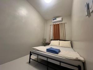 Hayat Apartment Digos City