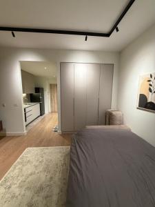 Belgrade Waterfront luxury apartment & free parking