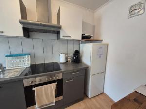 Apartment Krummnußbaum, Donau & Wachau