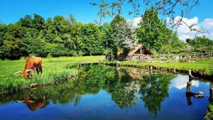 Eco Hôtel du Domaine de Ouézy