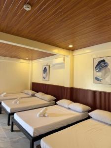 Casa Sereno Spring Resort