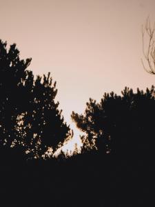 Serena - Tini Houses -