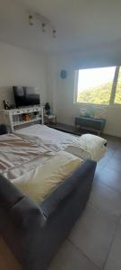 Centro Bariloche Vista al Lago