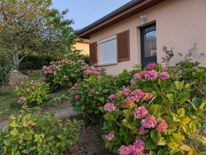 Villa Hortense de Nassau avec Prestations VIP