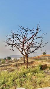 Hillside Nature Stay