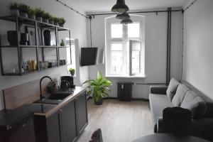LOFT Jana z Kolna