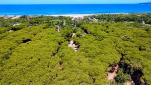 Is Arenas Camping Village img22