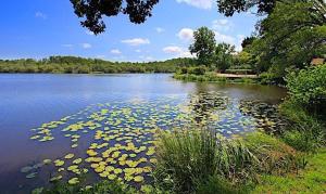 Mobilhome Le Coin Bonheur