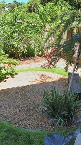 Miguel Pereira - Centro