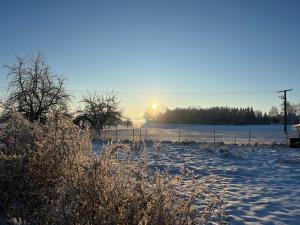 Family-friendly, entire house