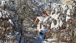 Premium Ferienhaus für 4 Personen mit großem Garten