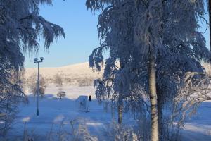 Atmospheric house on riverbank