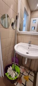 Untold Arena Apartment Cluj