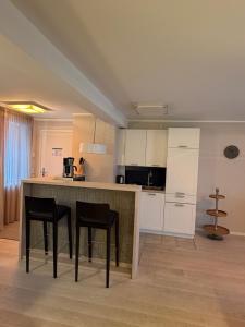 Lachmöwe B1-311 mit Meerblick und Balkon