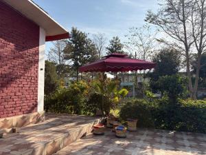 The ROYAL OASIS
