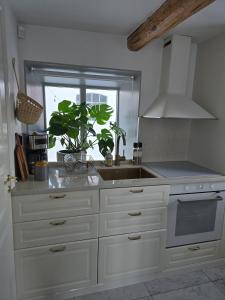 Apartment on a farm only 7 minutes from golf and beach