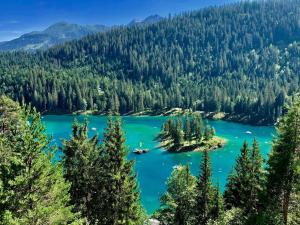 Flims Laax, Parking, Ski, Ski room, Self Check-in Wi-Fi Caumasee