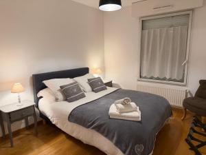 Appartement CITY CENTER-SALLANCHES