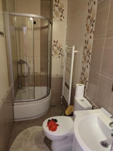 Apartament Mistic Medieval