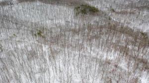 Deer Run Retreat Villa