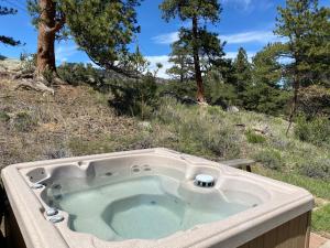 Bears Den 1 - Hot Tub and Views!