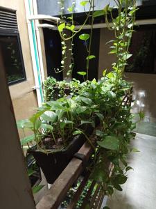 hotel civitas medellin