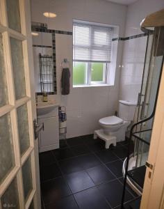 Cosy Garden apartment in Foxrock