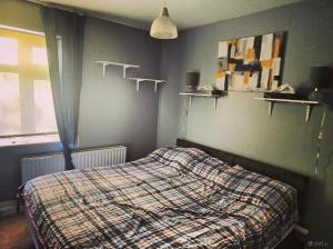 Cosy Garden apartment in Foxrock