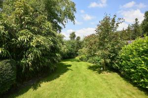 Sunny, Single-level Cottage with Garden & Parking, Dog friendly, Near Rye