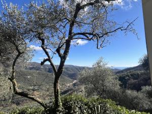 Apartment Mimosa - VLO200 by Interhome