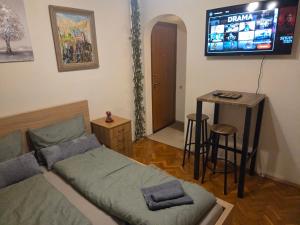 Two Vintage Apartments by NDK and Vitosha Blvd with Free Parking