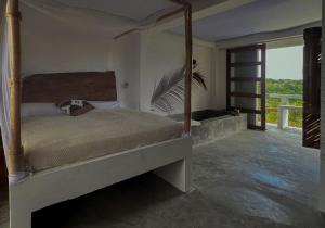 El Templo- Jungle Mirador