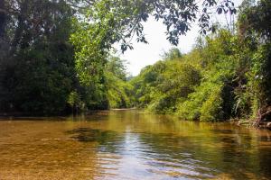El Templo- Jungle Mirador
