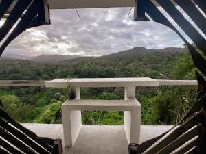 El Templo- Jungle Mirador