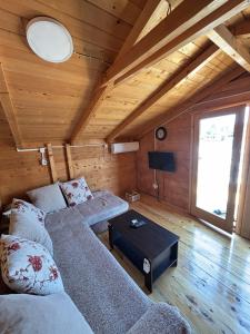 Ada Bojana River House 1