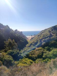 Departamento algarrobo mirasol