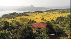 NESTORY , not just another villa