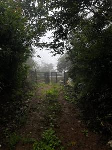 NESTORY , not just another villa