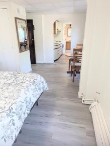newly renovated studio free pkng