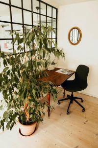 Charming And Historic Horse Farm From The 1700S