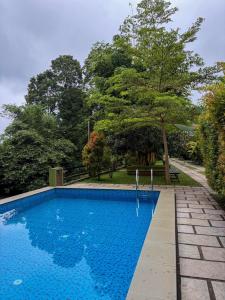 Maple grove villa resort