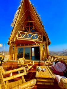 Un encuentro mágico con la naturaleza