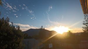 Tree house in the Elqui Valley