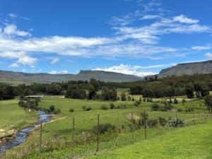 Shiloh Lodges Kamberg