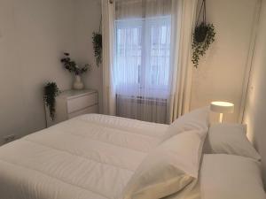 Para familias o grupo de amigos - BARRIO DE LAS LETRAS - MADRID CENTRO