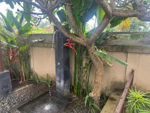 Villa Light - Amed Bali