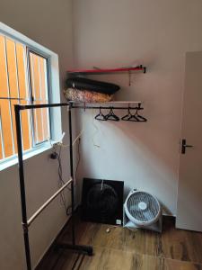 Estela dos Santos Pacheco