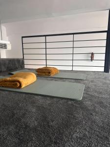 Museum Grand Suite with AC - Top Location