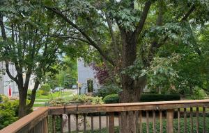 2320 Main - 3 Bd 1,5 Ba Glorious & Convenient DC 30 min metro