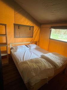Glampingtent Serengeti